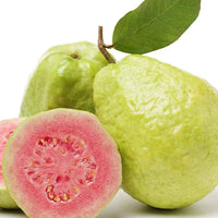 Red Guava Tree