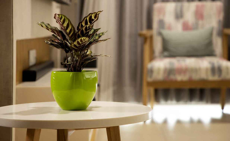 Fiberglass - Table 01