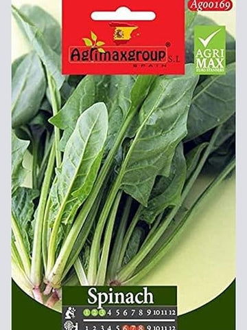 Organic Spinacio Gigante De Invierno Busta Bio Seeds