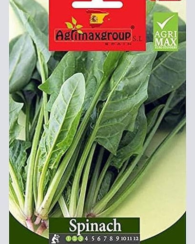 Spinacio Seeds – Souq Garden Dubai