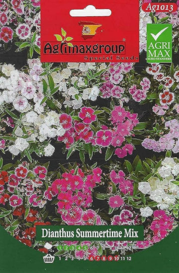 Garofano Chabaud Doppio in Mix