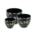 BLOOM GLOSS APPLE POT