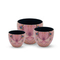 BLOOM BUTTERFLY EGG PLANTER