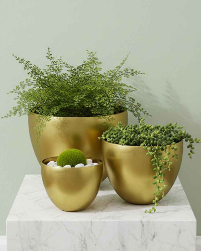 GOLDEN APPLE POT