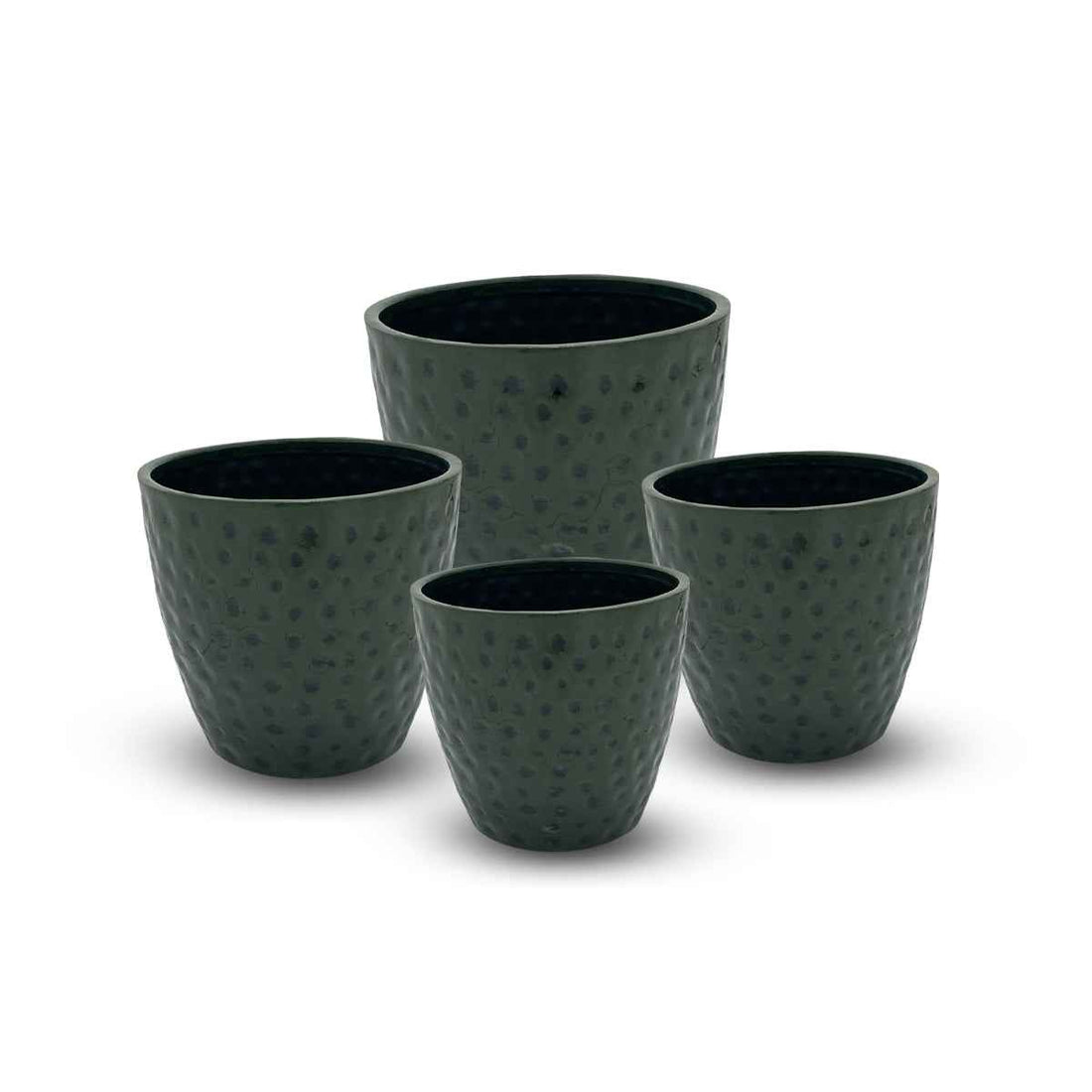 GREEN FOREST ROAN HAMMERD