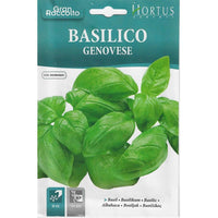 Hortus Basil Premium Quality Seeds – Basilico Genovese – Made in Italy – Hortus Sementi