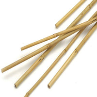 Bamboo Cane Plant Support Garden Stick