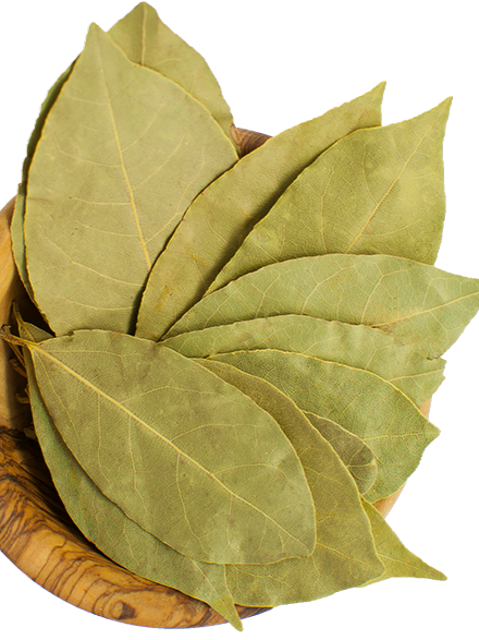 Biriyani leaf