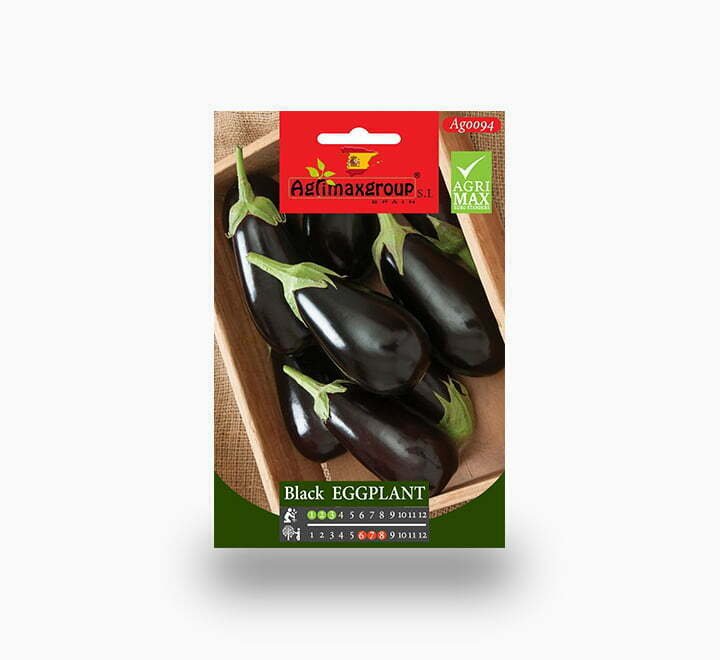 Black Eggplant Agrimax Seeds