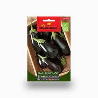 Black Eggplant Agrimax Seeds