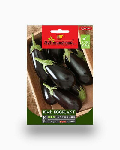 Black Eggplant Agrimax Seeds