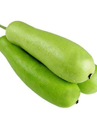 Bottle Gourd