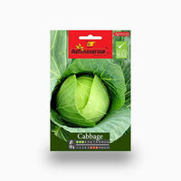 Cabbage Agrimax Seeds