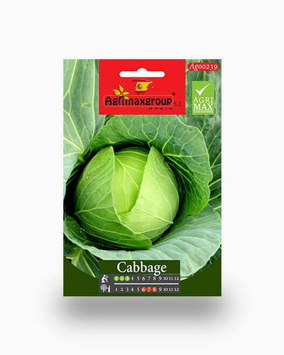 Cabbage Agrimax Seeds