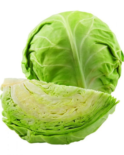 Cabbage