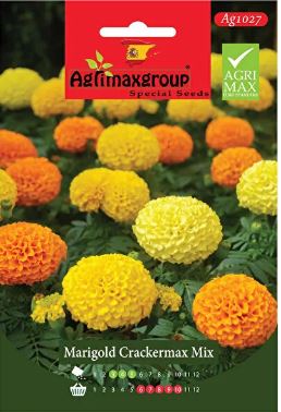Tagete  Mix Seeds