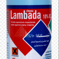 Lambada
