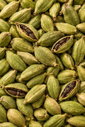 Cardamom Plant
