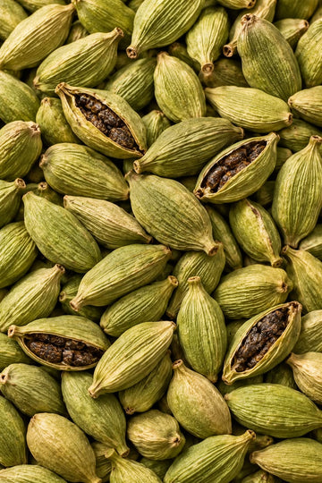Cardamom Plant
