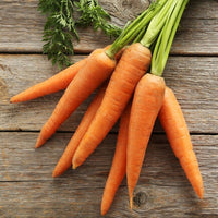 Carrot