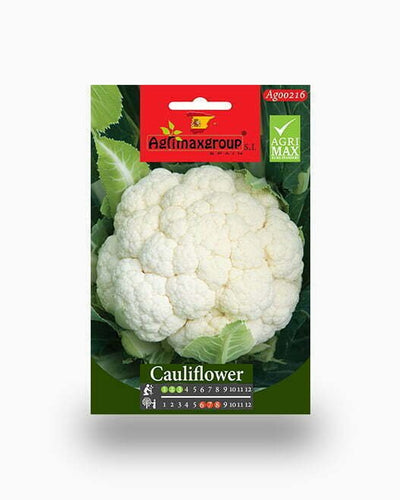 Cauliflower Seeds – Agrimax