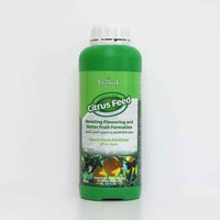 Citrus Feed