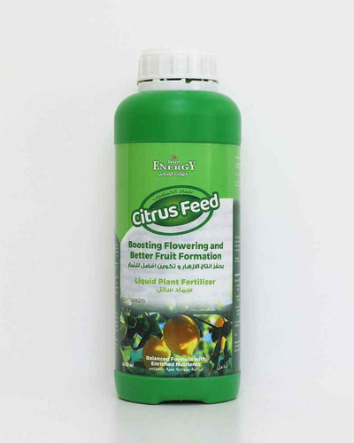 Citrus Feed