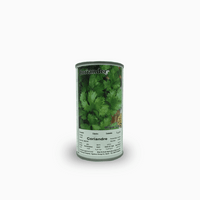 Coriander Seeds Tin