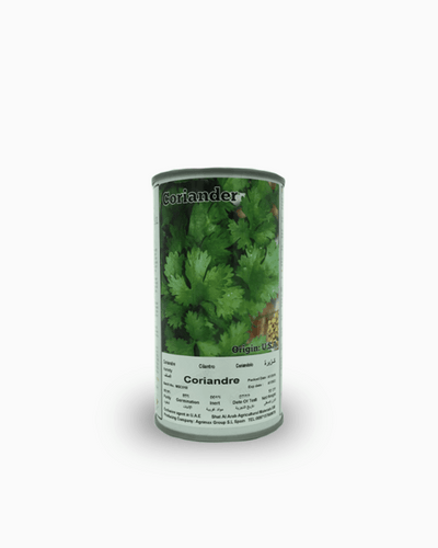 Coriander seeds tin organic herb garden seeds Dubai UAE Souq Garden