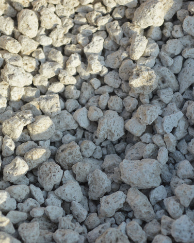 Coral Stones