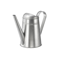Galvo Watering Can