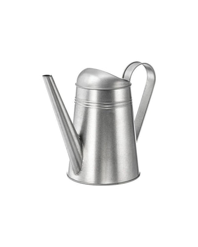 Galvo Watering Can
