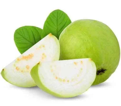 Guava Tree