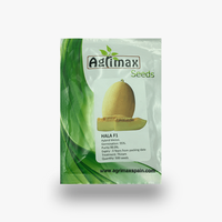 Hala F1 Hybrid Melon Premium Quality Seeds