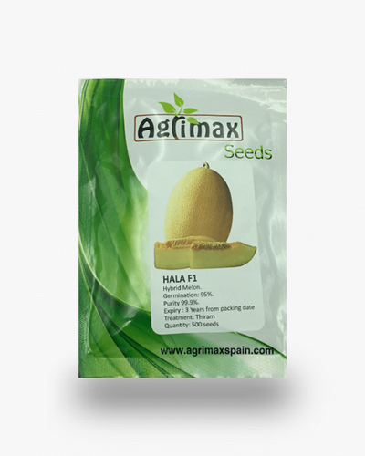 Hala F1 Hybrid Melon Premium Quality Seeds
