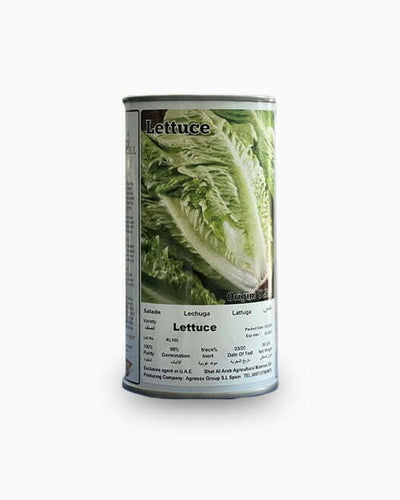 Lettuce Seeds Tin – Souq Garden Dubai
