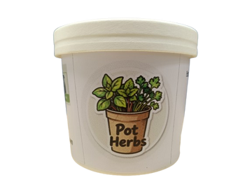 Pot Herbs - Peppermint