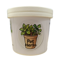 Pot Herb – Coriander