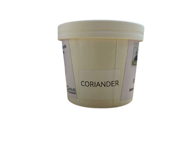 Pot Herb – Coriander