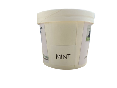 Pot Herb – Mint