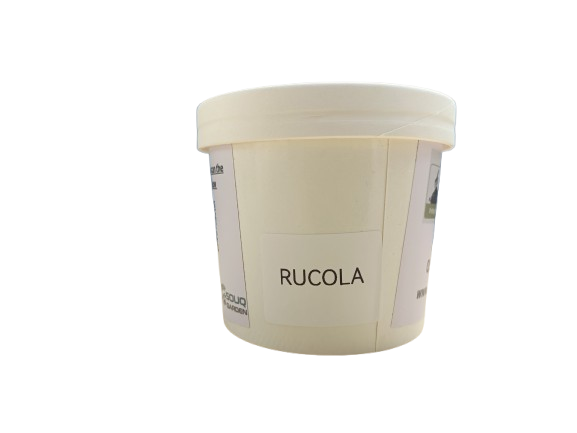 Pot Herb – Rocca
