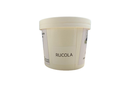 Pot Herb – Rocca