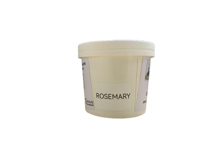 Pot Herb – Rosemary