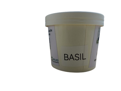 Pot Herb – Basil