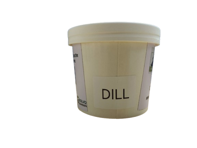 Pot Herb – Dill