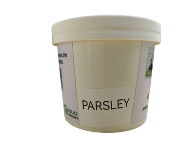 Pot herbs - Parsley