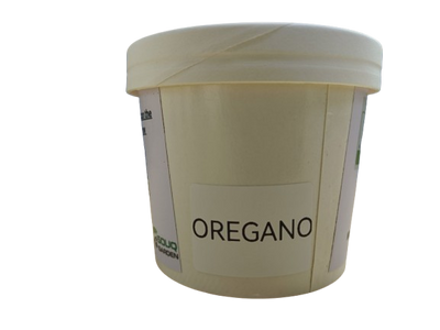 Pot Herbs - Oregano