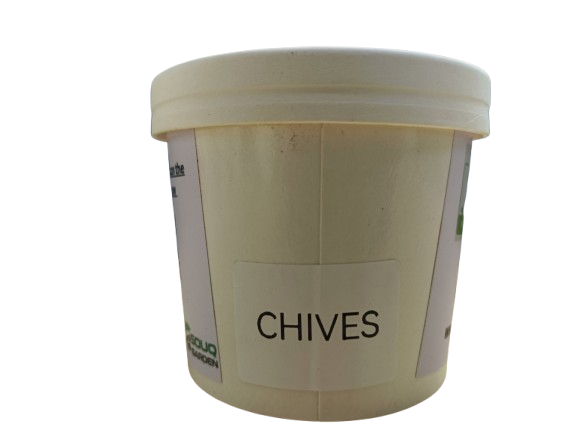 Pot Herbs - Chives