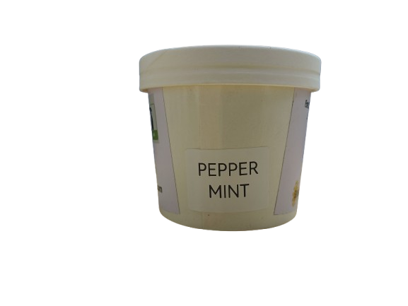 Pot Herbs - Peppermint