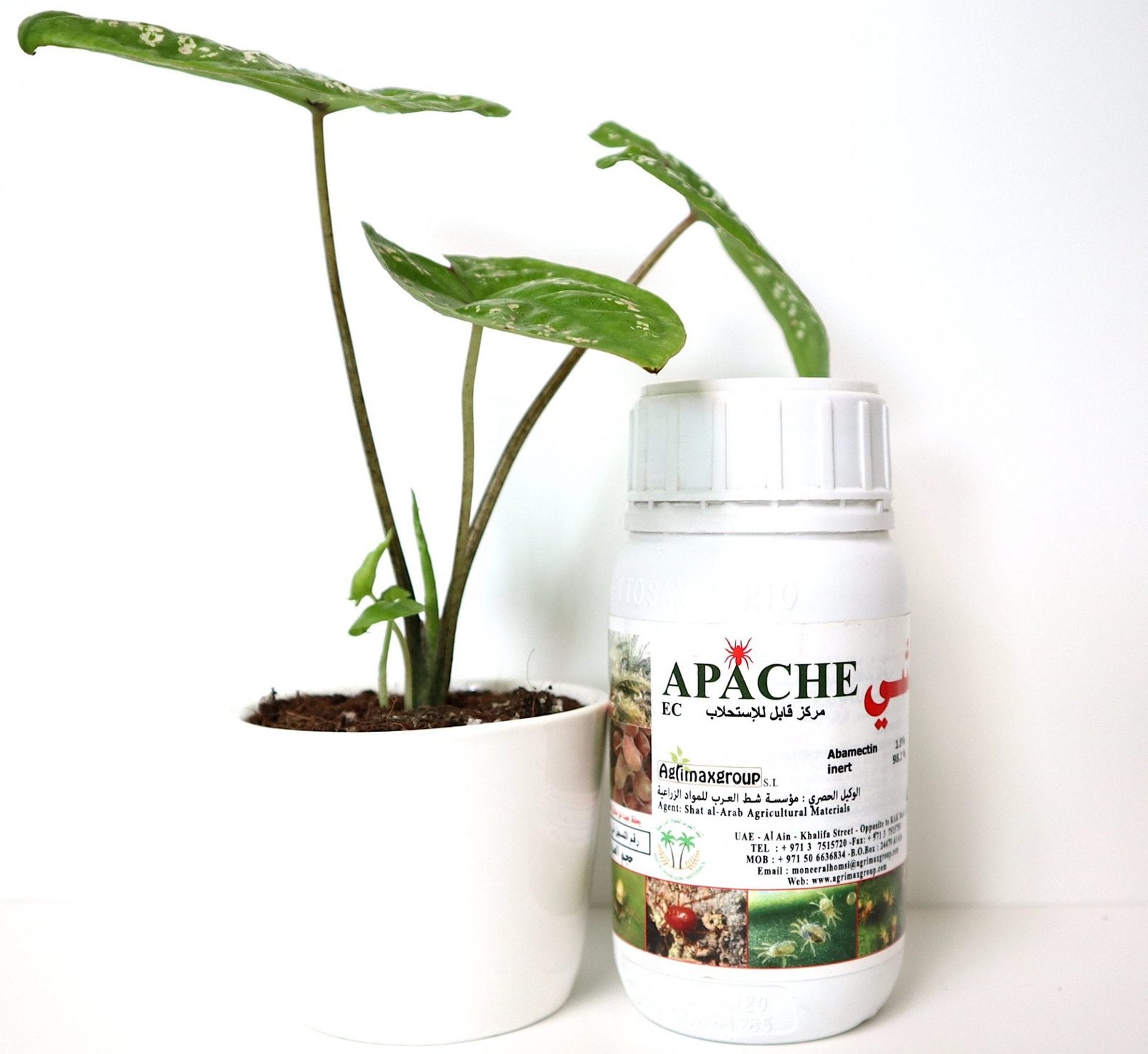 Apache 1.8% EC “Acaricide & Insecticide”